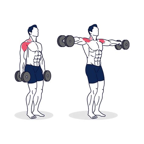 Front And Lateral Raises