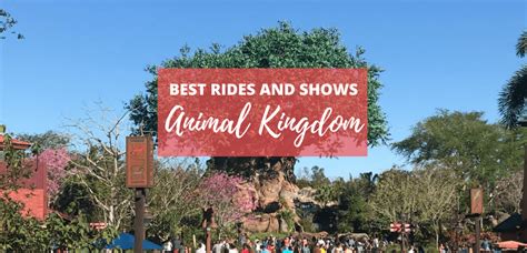 The Best Rides In Animal Kingdom 2022 Next Stop Wdw