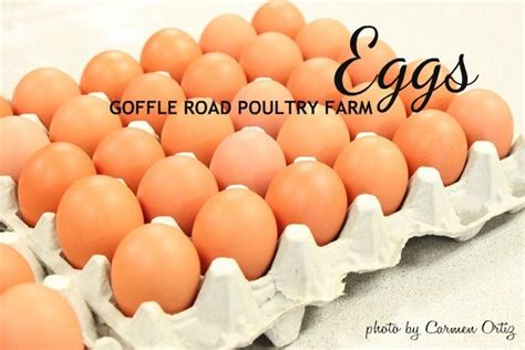 A Visit To Goffle Road Poultry Wyckoff Nj Bakingismyzen