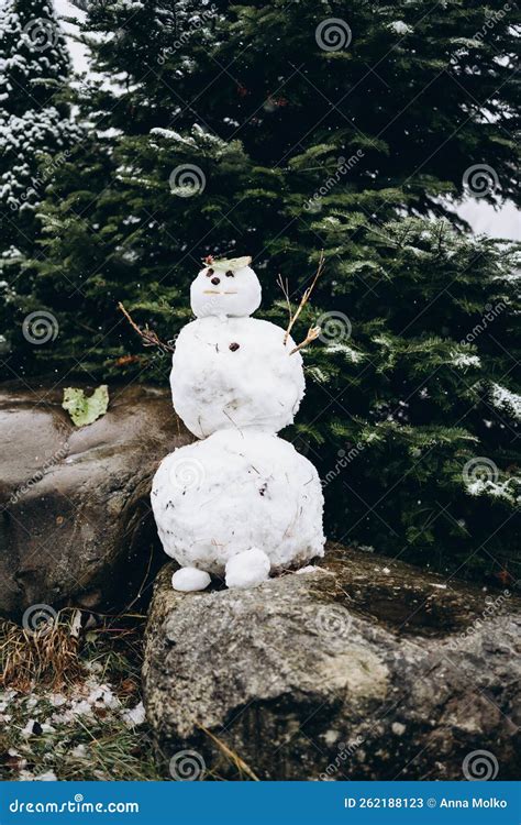 Funny Snowman In The Park Stock Image Image Of City 262188123