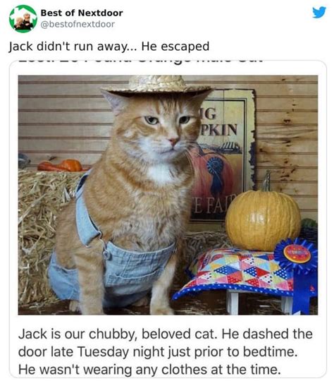 A good start might be to clean up all your foul language. Funny Nextdoor Posts That Will Make You Grateful For Your Neighbors