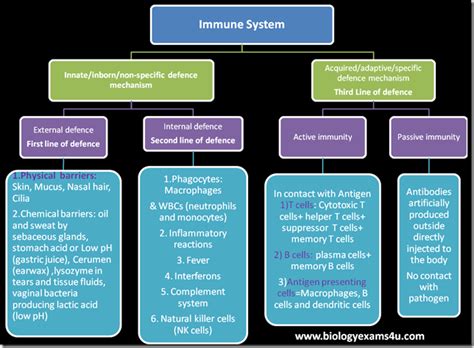 It is archived by toxic or vaccination. Immune system at a glance chart Questions on basic ...