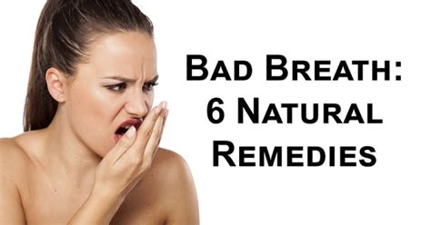 bad breath 6 natural remedies david wolfe shop