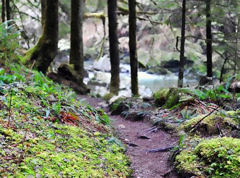 Boulder River Trail Washington