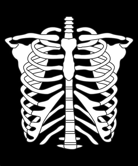 The rib cage consists of 24 ribs, 12 on either side, and it shields the organs of the chest, including the heart and the lungs, from damage. Halloween Costume Skeleton Rib Cage Digital Art by John Ko