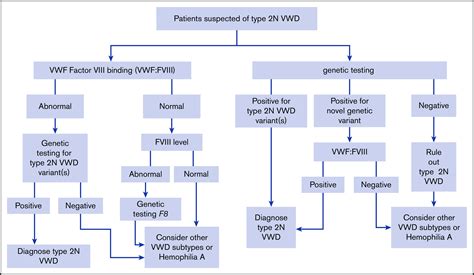 Ash Isth Nhf Wfh 2021 Guidelines On The Diagnosis Of Von Willebrand