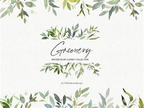 Greenery Watercolor Leaves Clipart By Graphics Collection On Dribbble My Xxx Hot Girl
