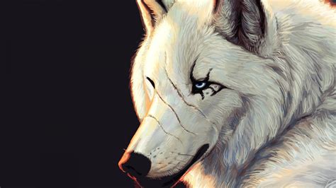 Anime White Wolf Wallpapers Wallpaper Cave