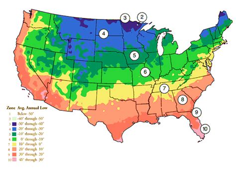 Hardiness Zones Growing In My Gardengrowing In My Garden