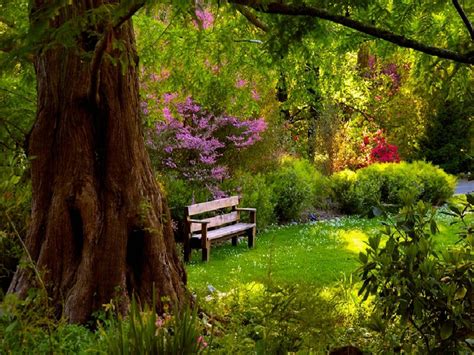 I Want A Peaceful Spot Like This Garden Bench Garden And Yard Garden