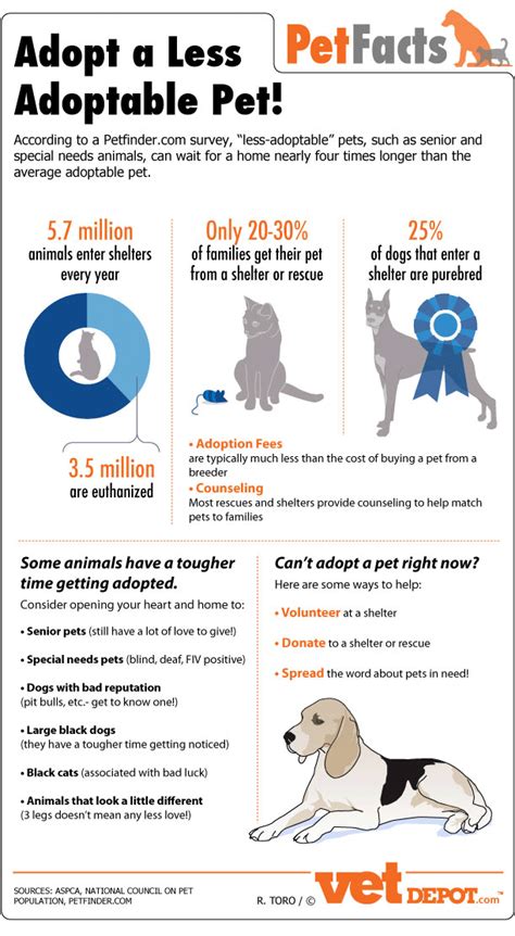 We are incredibly grateful to everyone who adopted pets from us. Adopt a Pet - Infographic | VetDepot.com