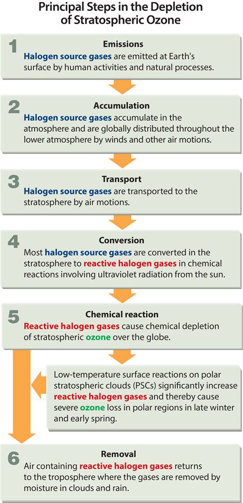 Scientific Assessment Of Ozone Depletion 2018 Twenty Questions And