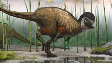 Fossils Of Feathered Dinosaurs Of The Middle Jurassic Epoch Studied