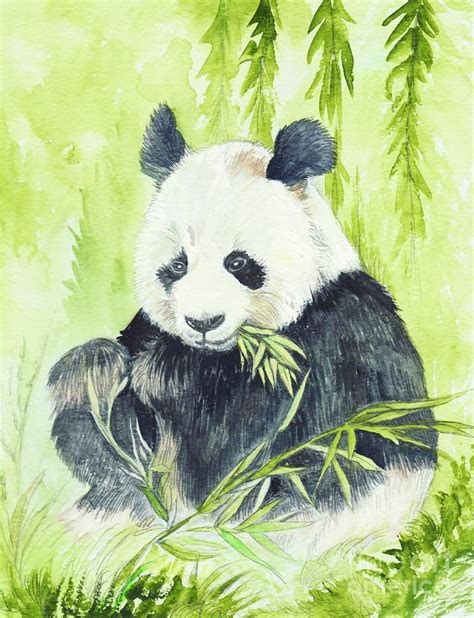 Kunst Panda Eating Watercolour 12x16 Inch Framed Art Print