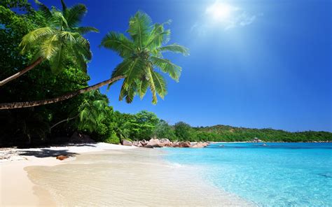 Tropical Beach Vacation Ideas World Tourism Tips
