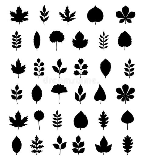 Set Of Autumn Leaves Silhouettes Vector Autumn Or Spring Illustrations