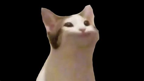 Pop Cat Meme Pop Cat Meme Pop Cat Cat Memes Kitty Images Pop Cat Meme