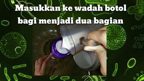 Pembuatan Yoghurt Fermentasi Bakteri YouTube