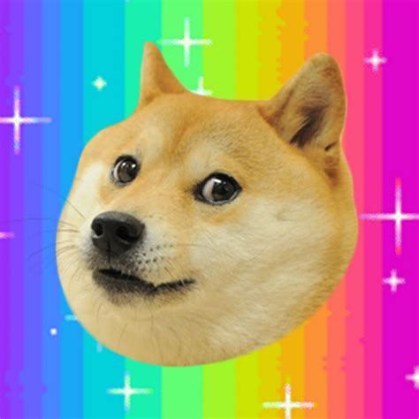 Doge meme dog memes wallpapers face. The Super Girly Gamer - YouTube