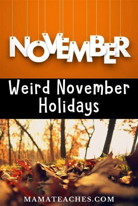 Unconventional November Holidays