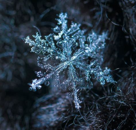 Snowflakes Close Up Pictures And These Tiny Snow Crystals Are