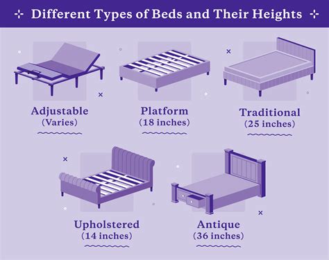 Best Bed Height Pros Cons Chart Purple