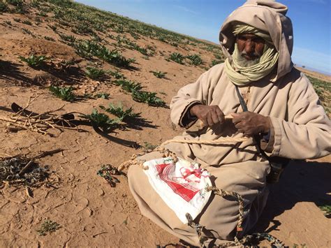 Nomads Of The Sahara Nomad Photo And Video Sahara