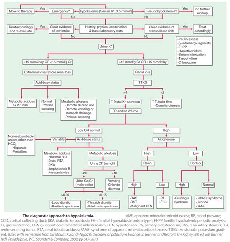 hypokalemia differential diagnosis algorithm using grepmed hot sex picture