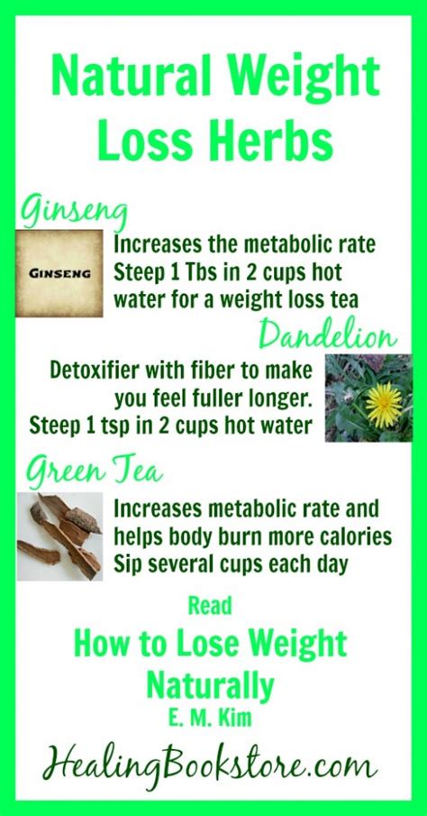 Herbs For Natural Weight Loss Infographic Healing Bookstore