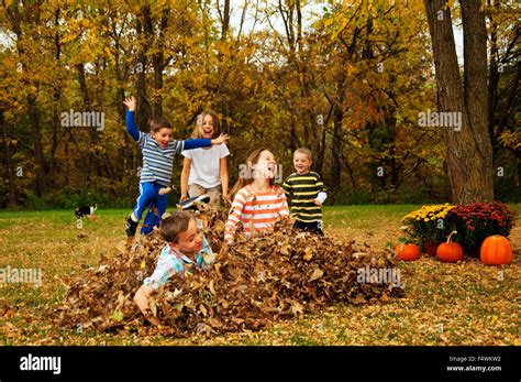 Five Kids Jumping In A Fall Leaf Pile Stock Photo Alamy