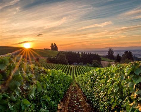 10 Sensational Willamette Valley Wineries to Visit This Fall