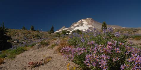 A Photographers Perspective Best Views Of Mount Hood Outdoor Project