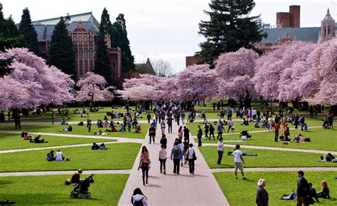 35 Great Value Colleges With Beautiful Campuses Great Value Colleges