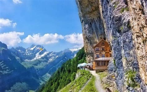Beauty Picture: beautiful picture