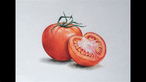 Tomato Drawing At Explore Collection Of Tomato Drawing