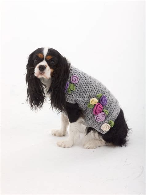 Free Dog Sweater Crochet Patterns Psychedelic Doilies