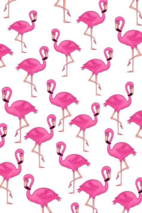 9 Pink Flamingo Wallpaper Ideas Flamingo Flamingo Wallpaper Pink Flamingos
