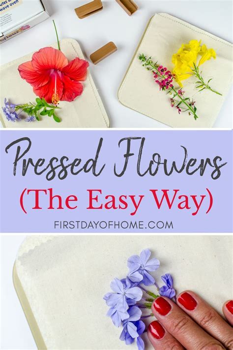 Maybe you would like to learn more about one of these? How to Make DIY Pressed Flower Art - The Easy Way ...