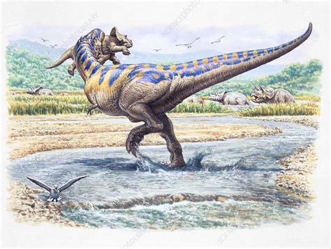 Tyrannosaurus Rex Hunting Illustration Stock Image C0367340