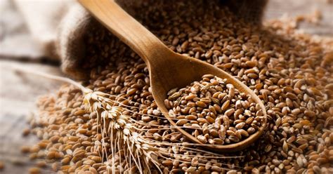 Wheat Intolerance And Chronic Gi Symptoms
