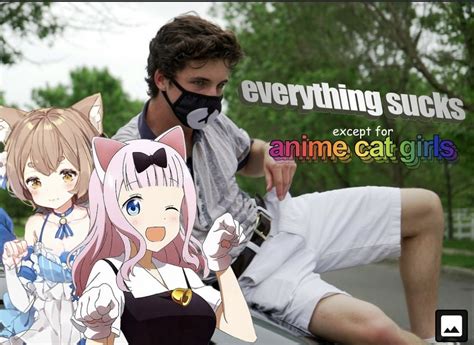 Anime Cat Girls R Comedyheaven