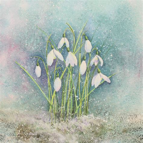 Snowdrops In The Snow A Snowdrops Greetings Card Ingrid Hill Art