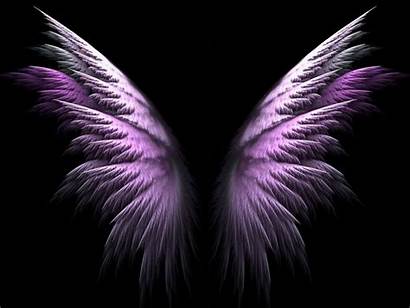Angel Wing Wings Purple Wallpapersafari Forwallpapercom