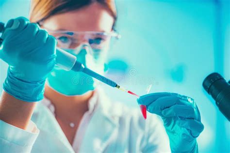 Biotechnology Scientist Working In Lab Stock Photo Image Of