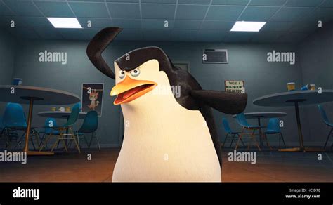 Penguins Of Madagascar Skipper Voice Tom Mcgrath 2014 Tm