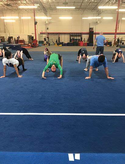 Elevate Gymnastics Adult Classes