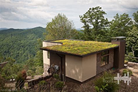 Residential Living Roof Design Green Roof Residential Green Roof