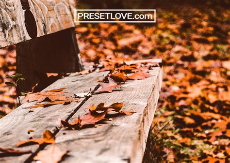 First, download the preset and unzip if necessary. Autumn | FREE Preset Download for Lightroom | PresetLove