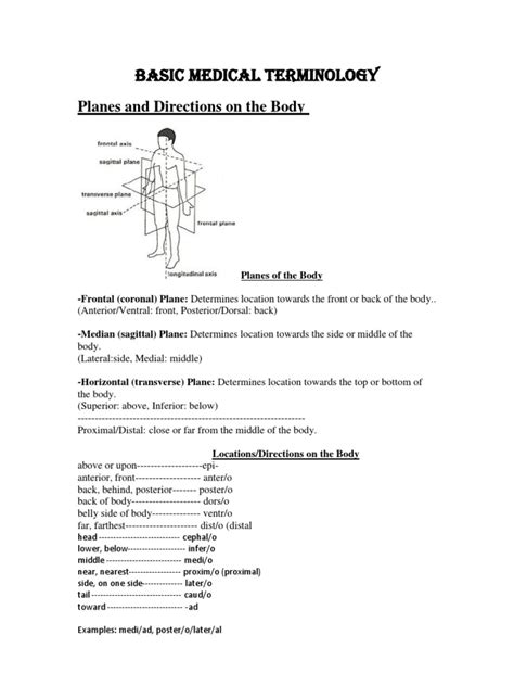 Basic Medical Terminology Anatomical Terms Of Motion Anatomical