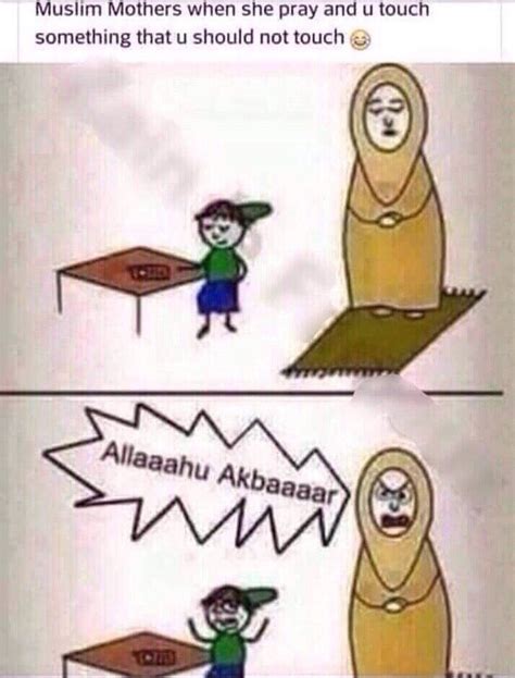 35 best arabic muslim memes images on pinterest arab problems hilarious and funny memes